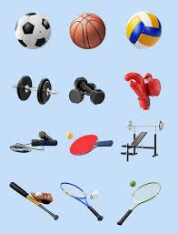 BSport网页版入口 室内健身小器材选择
